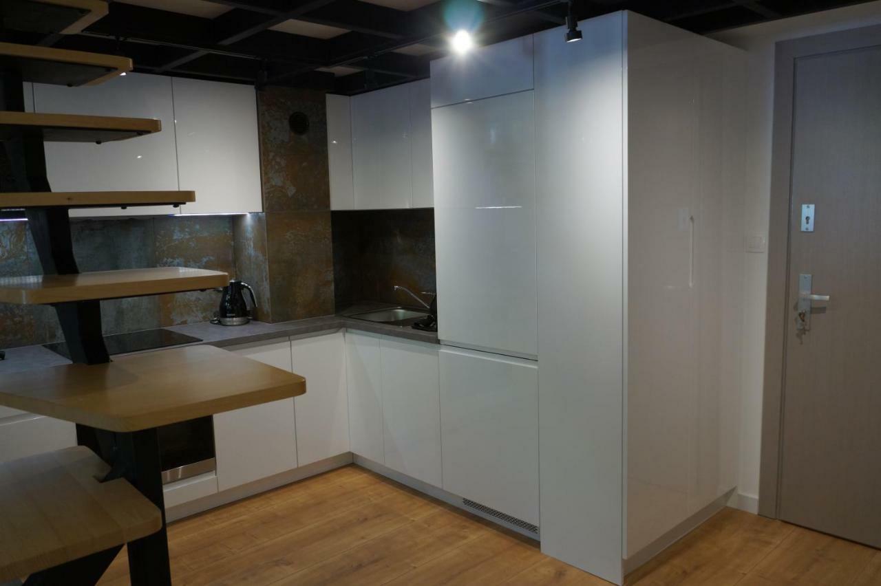 Sienkiewicza Loft1 Daire Łódź Dış mekan fotoğraf